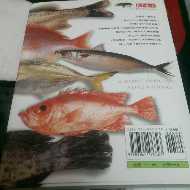 云拍卖-菜市场鱼图鉴