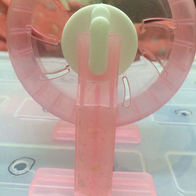仓鼠滚轮