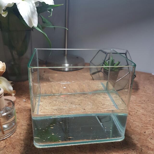 simple glass fish tank
