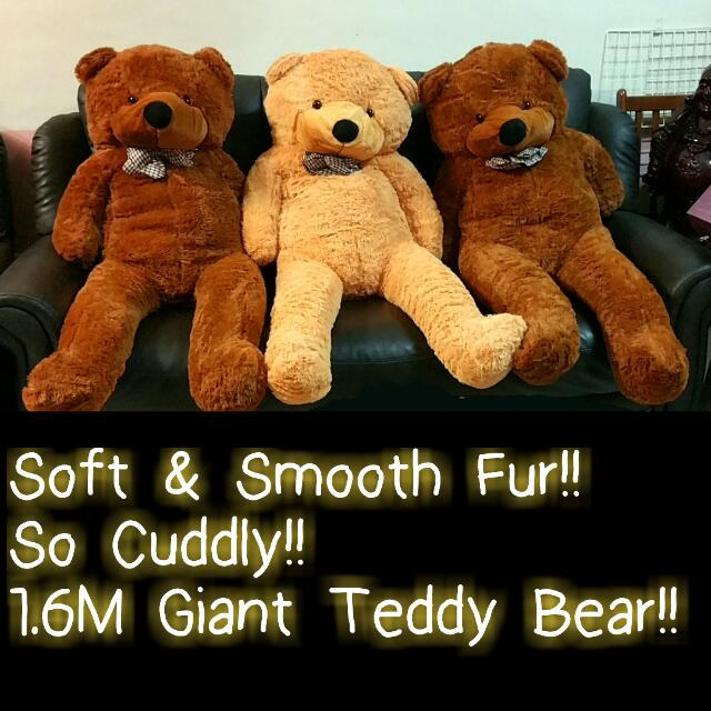 new stocks available[bn]1.6m giant cuddly teddy bear