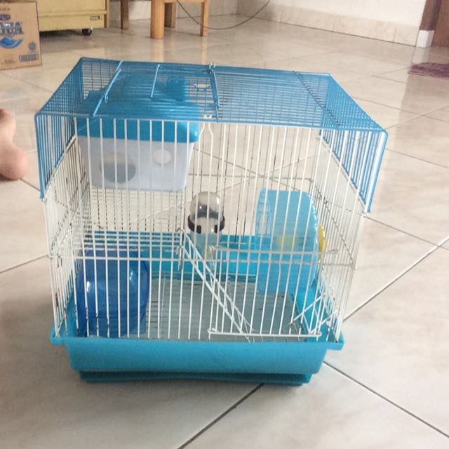 Rumah Hamster Perlengkapan Hewan Aksesoris Hewan Di Carousell