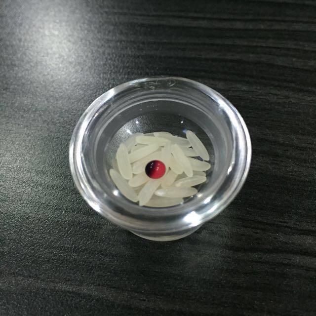 geliga lipan asli (centipede pearl)【蜈蚣珠】