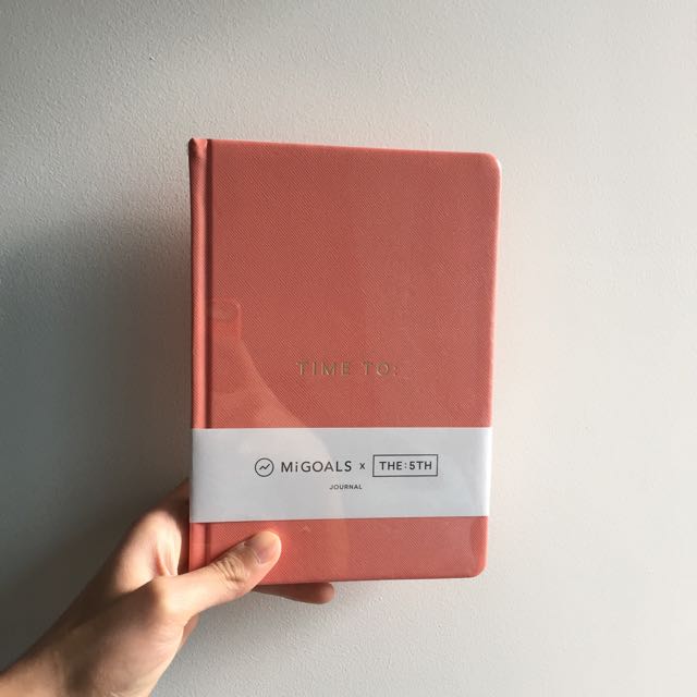 salmon pink,pale blue journal book (salmon pink)!