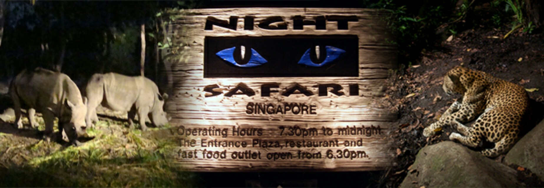 night safari singapore (17dec only)