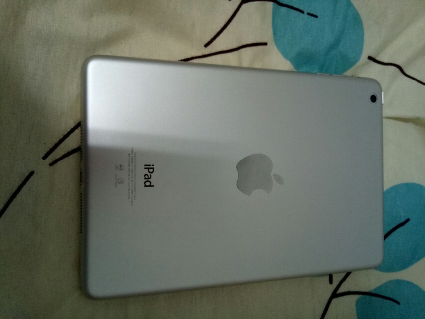 ipad mini 1