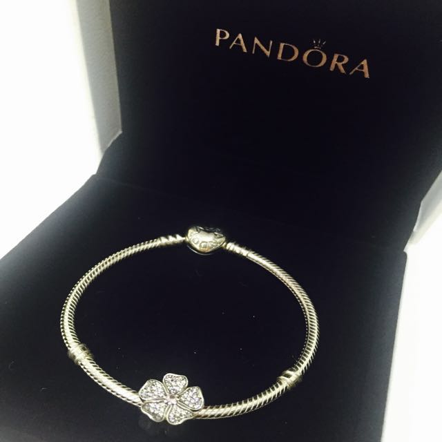 pandora bracelet (valentines gift)