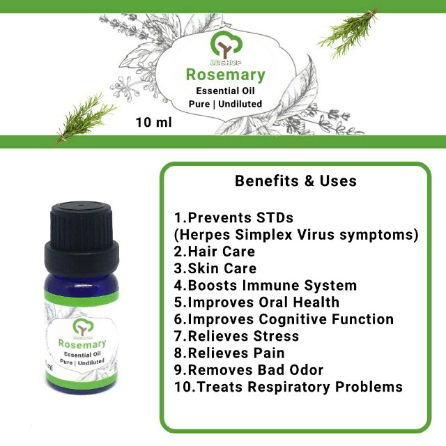 rosemary essential oil | pure | undiluted