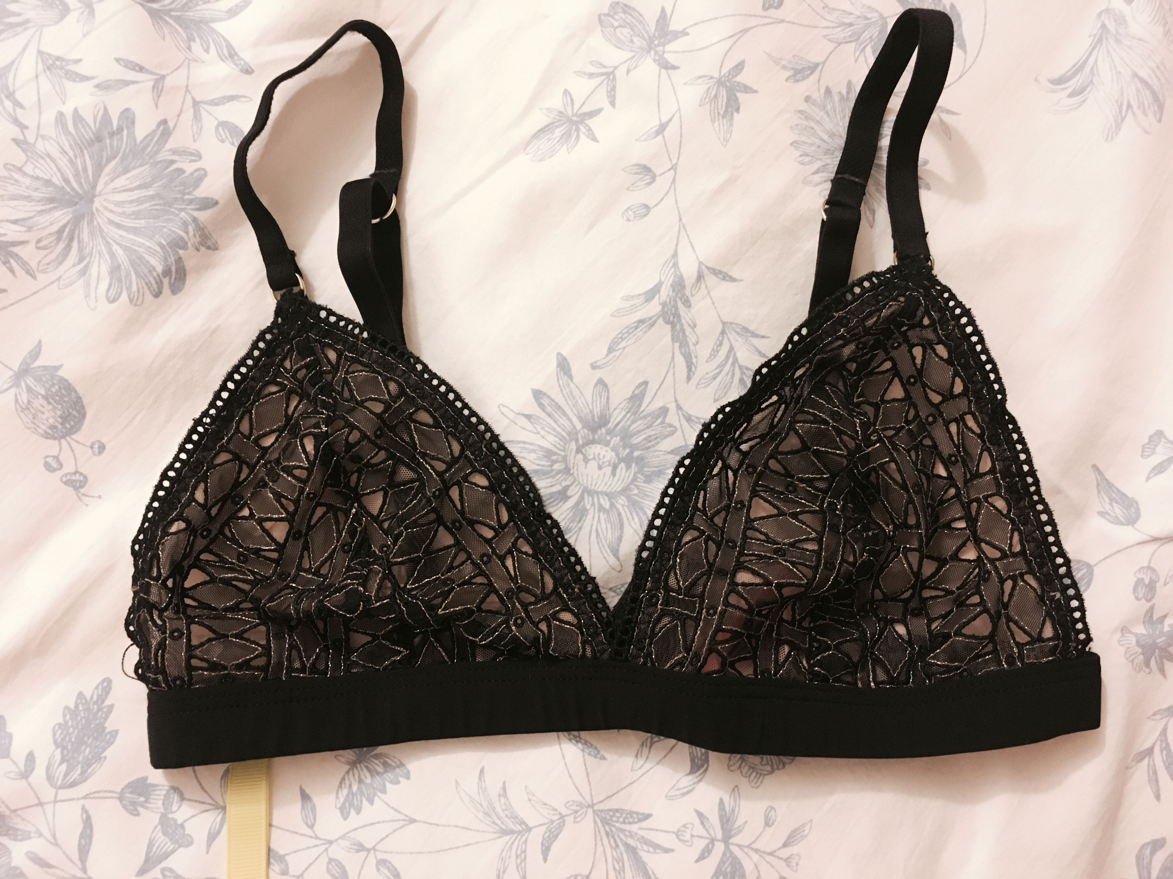 sass and bide bralette