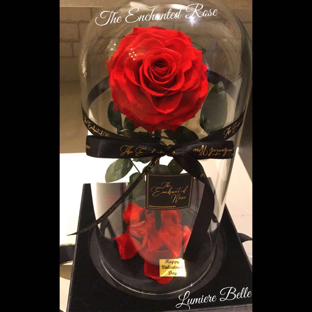 preserved roses in light glass dome. lasts up to 5 yrs