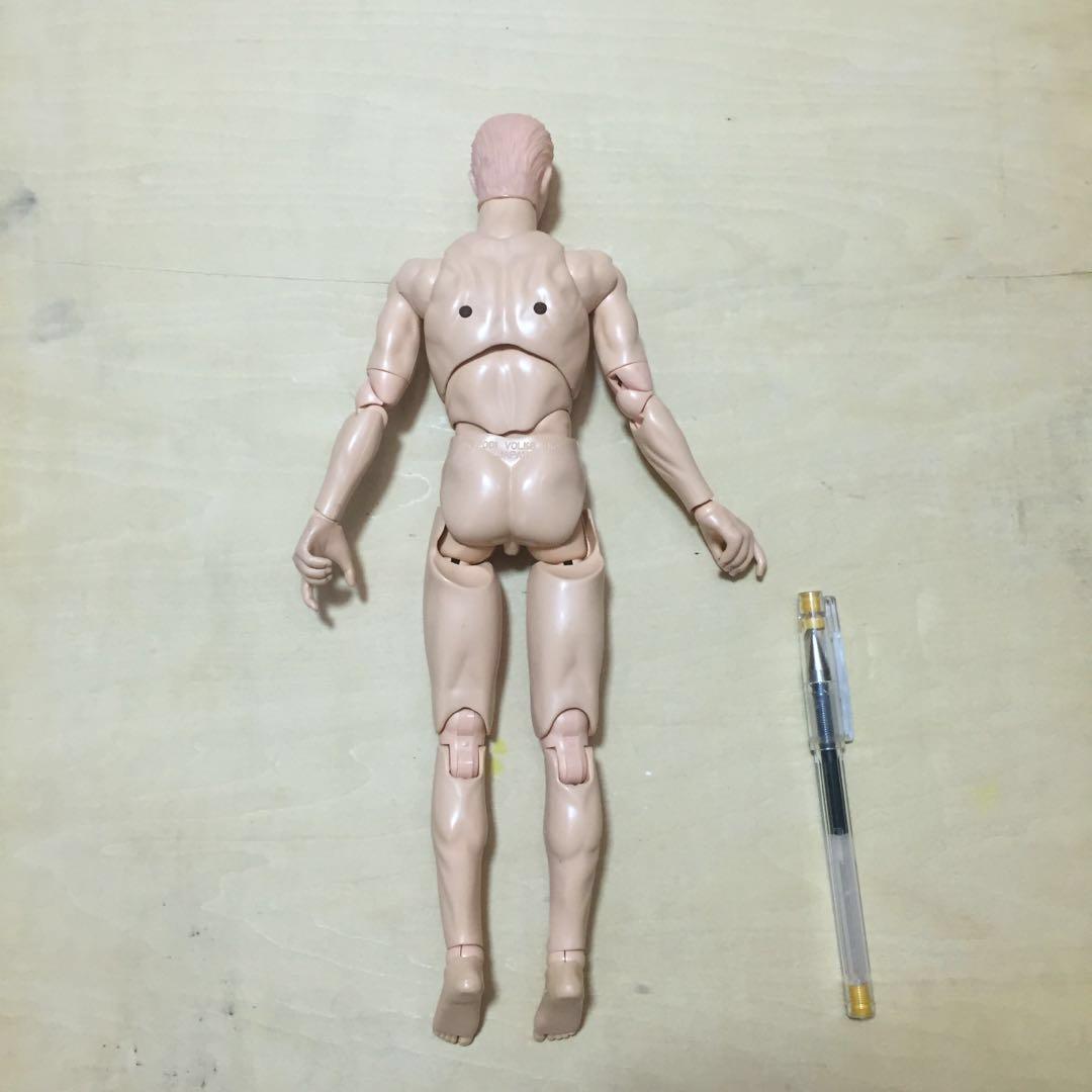 男性 人体模型 volks 玩具 人偶