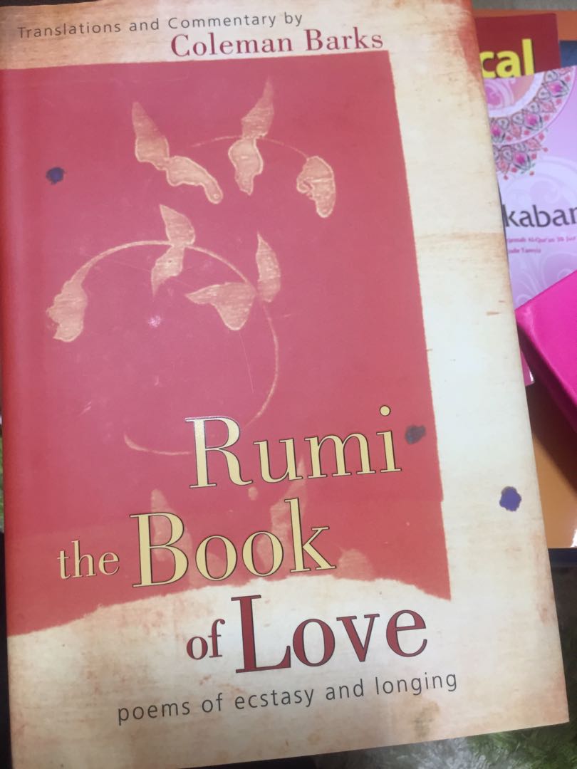 Rumi Hobbies Toys Books Magazines Fiction Non Fiction On Carousell