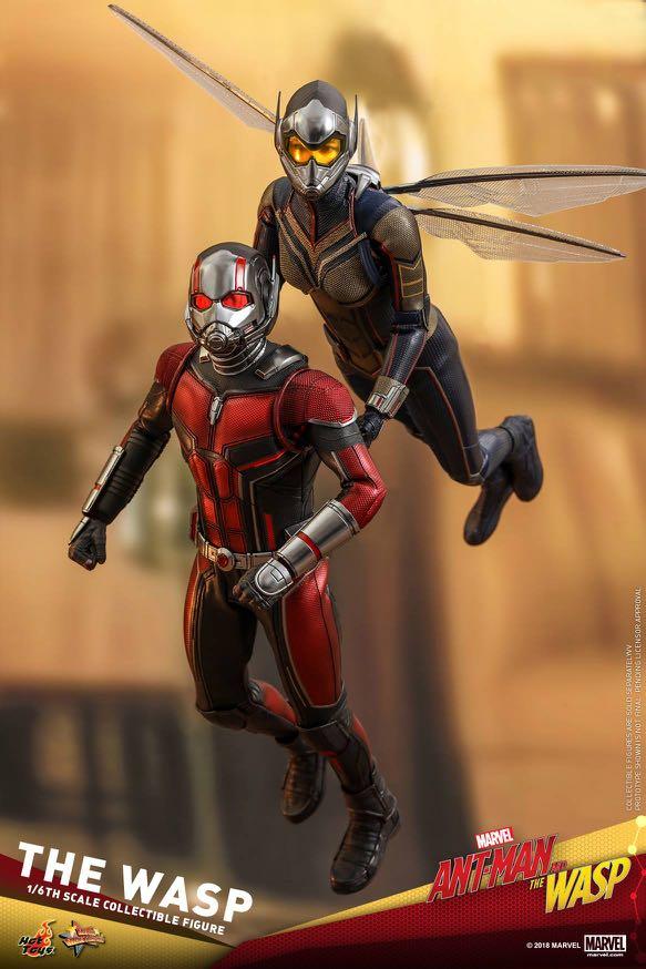 hottoys ant man wasp 蚁侠 黄蜂女 首日 首半小时 原价放