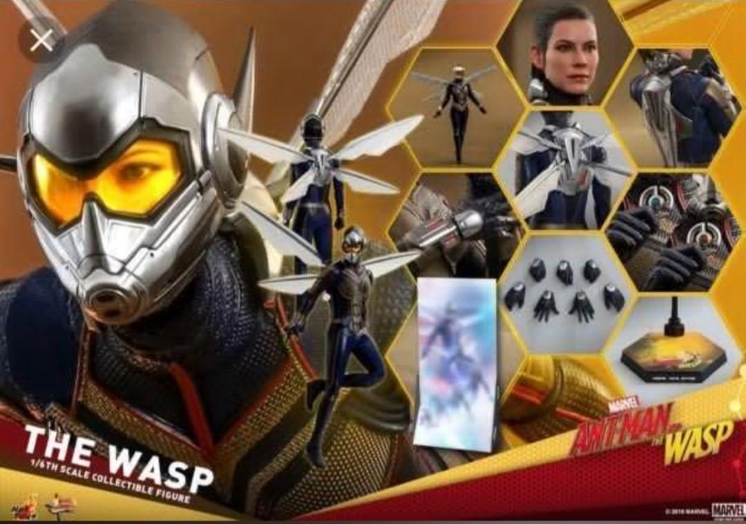 hottoys ant-man and the wasp 蚁侠 黄蜂女 mms497 mms498