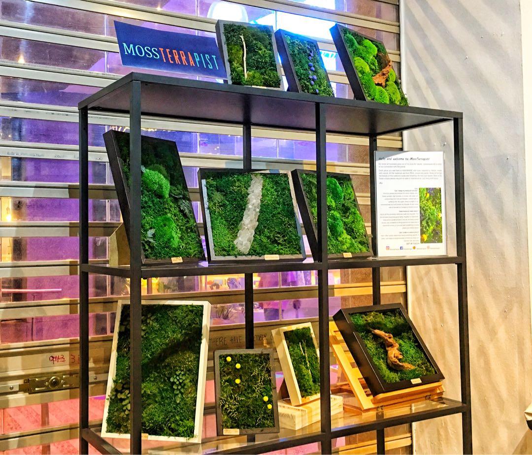 moss art wall ~ real preserved moss green eco vertical