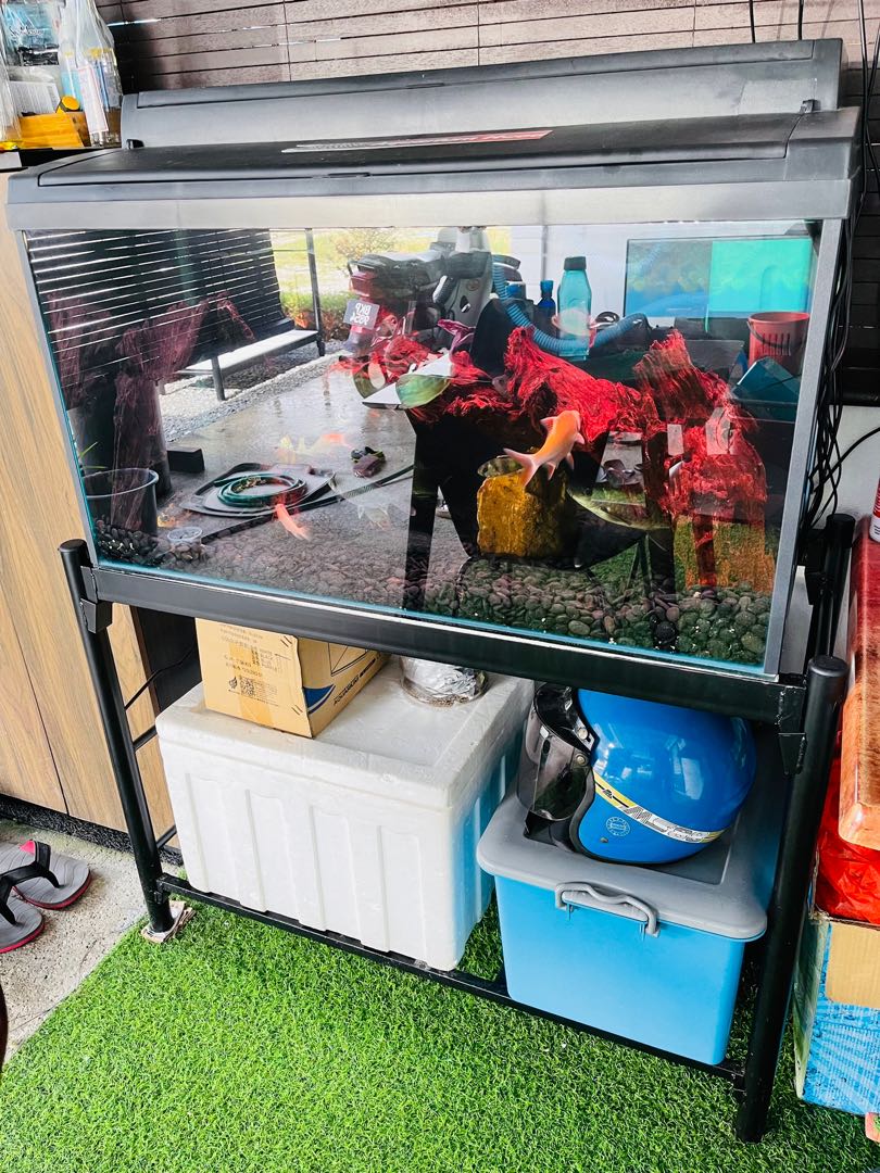 Aquarium Ft Pet Supplies Homes Other Pet Accessories On Carousell