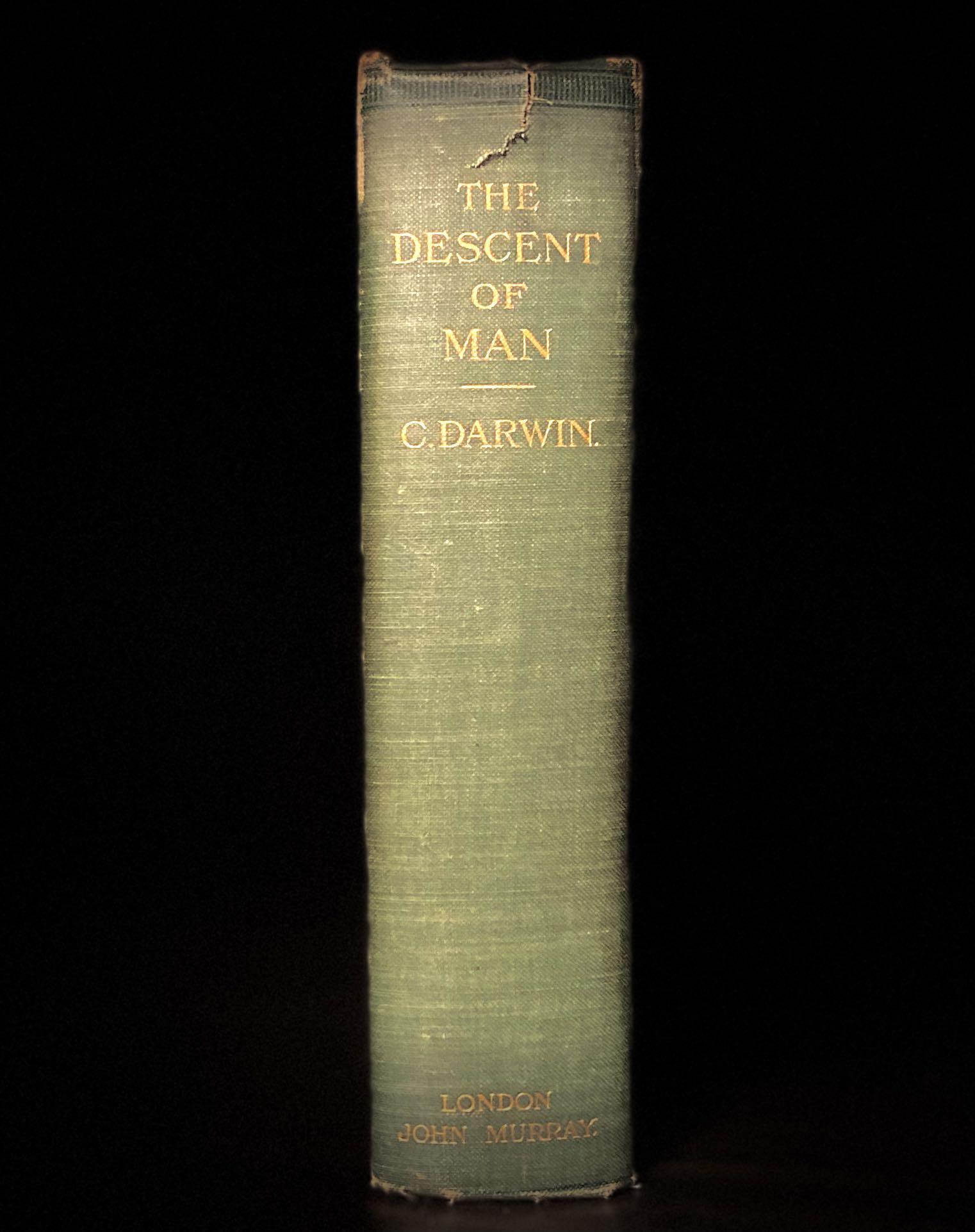 Clearance The Descent Of Man And Selection In Relation To Sex By Charles Darwin Antique Book