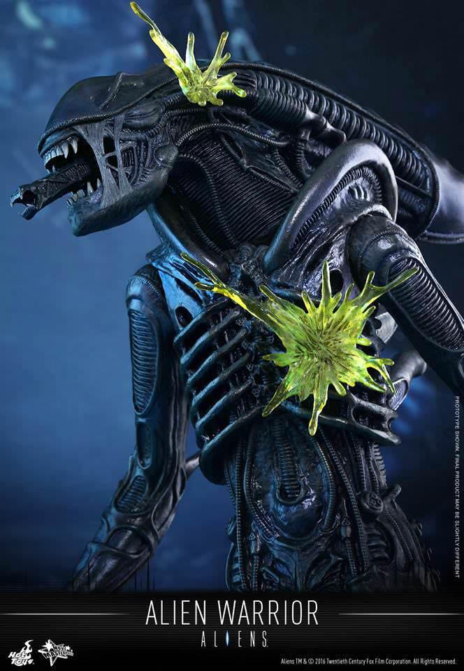 hottoys 異形 mms alien vs predator aliens hot toys aliens mms 非 shf neca 興趣及遊戲 玩具 遊戲類
