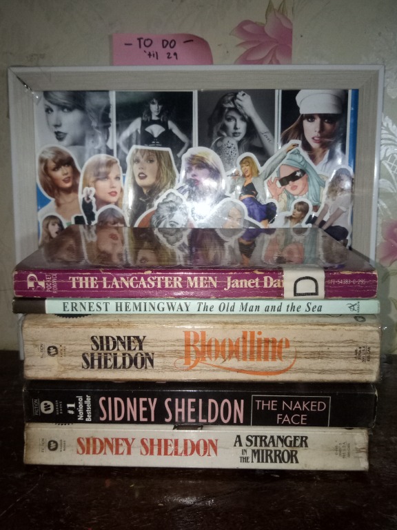 Bloodline The Naked Face A Stranger In The Mirror By Sidney Sheldon Hobbies Toys Books