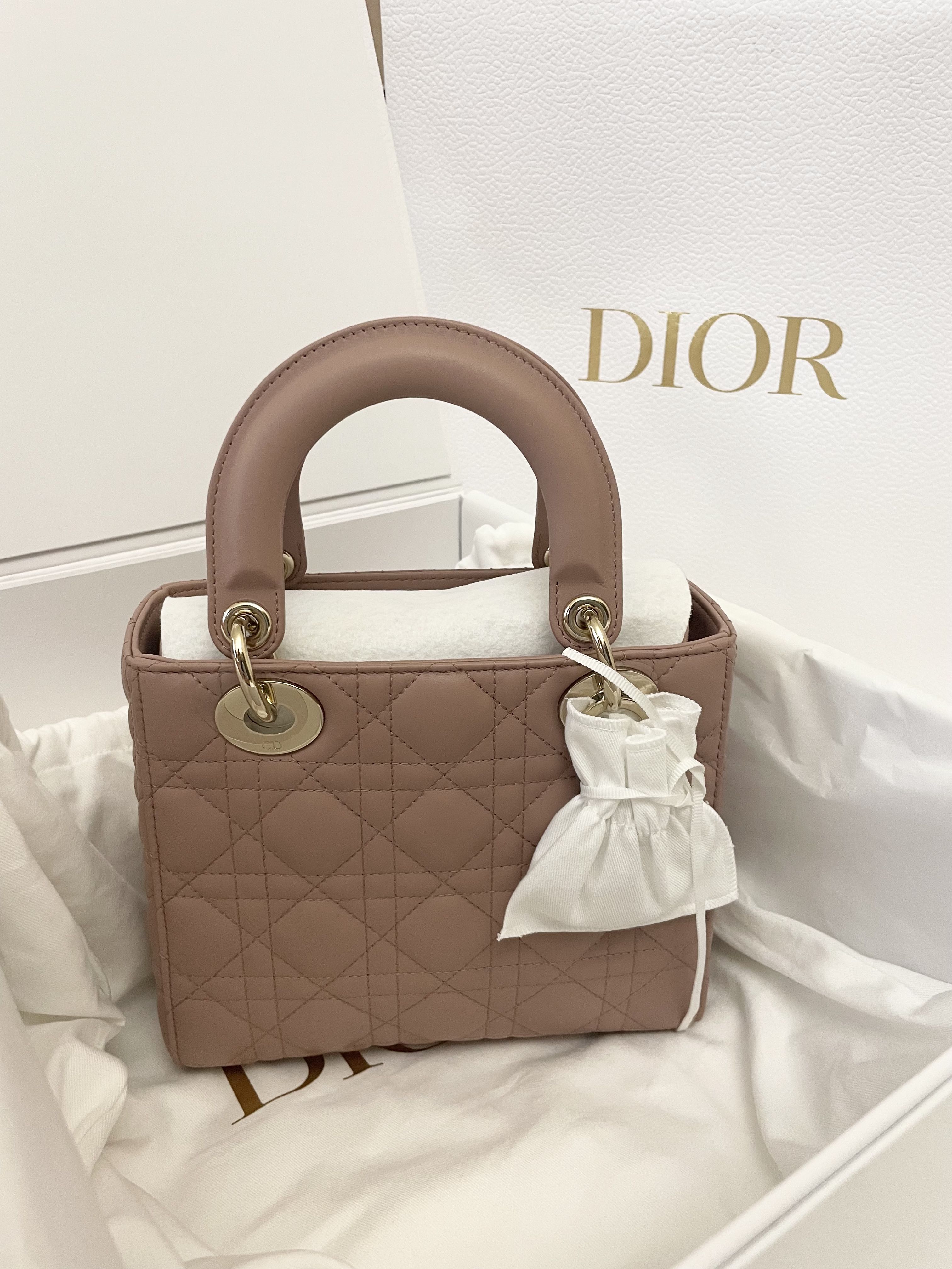 Small Lady Dior My ABCDior Bag In Blush Fard Cannage Lambskin Luxury
