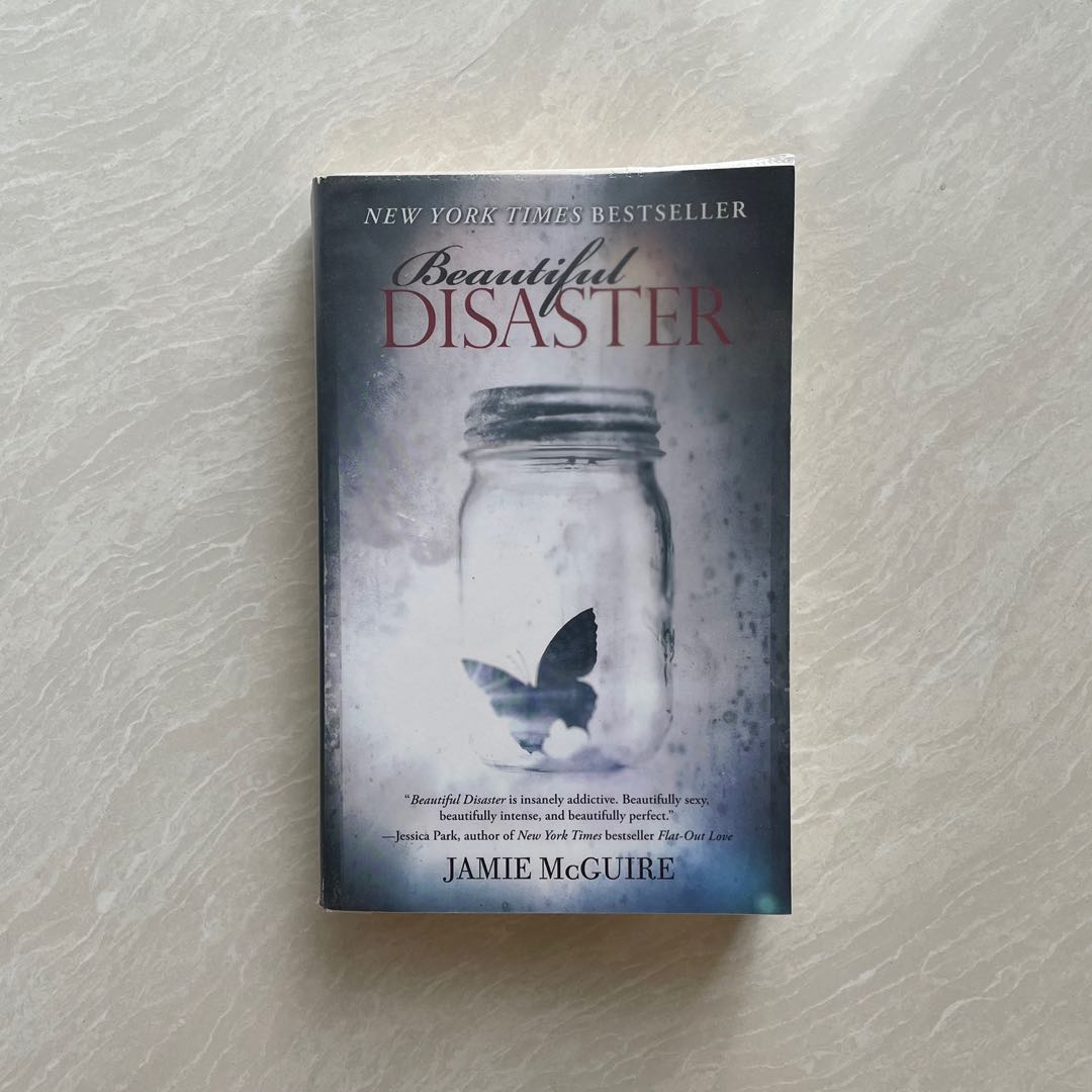 Beautiful Disaster Buku Alat Tulis Buku Di Carousell