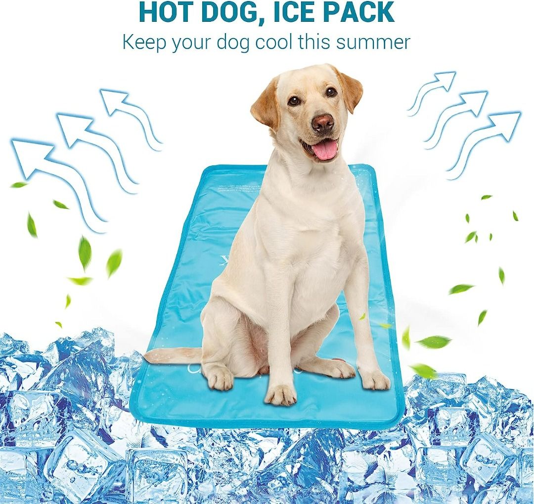 A Comfytemp Reusable Hot Cold Pack Compress For Injuries Back Pain Relief Menses Cramp