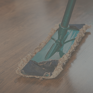 Home Cleaning