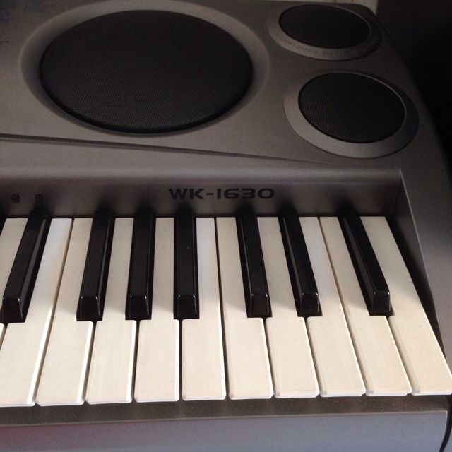 Casio WK 1630 Portable Electronic Keyboard