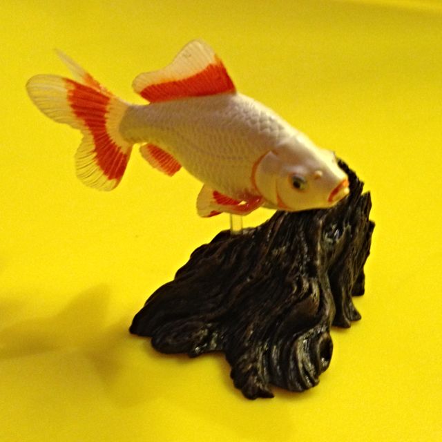 goldfish enrichment toys