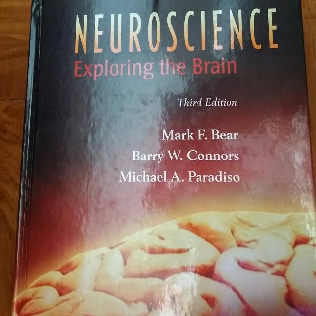 Bear Et Al 2007 Neuroscience Exploring The Brain Books Stationery Textbooks On Carousell