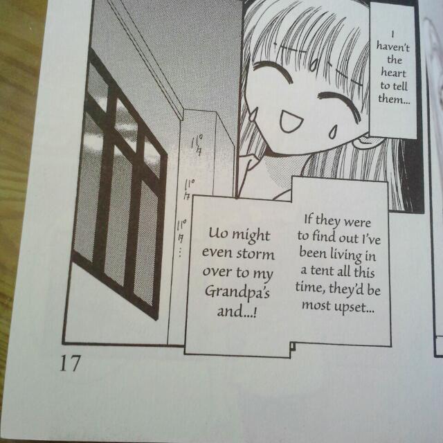 [ENGLISH] Fruits Basket Manga Volumes 123(END) , Hobbies & Toys, Books