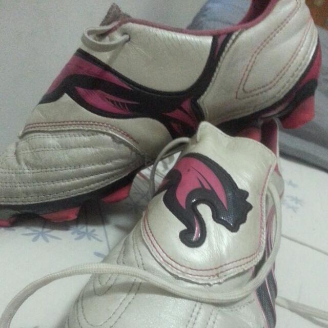 Puma v11 2025