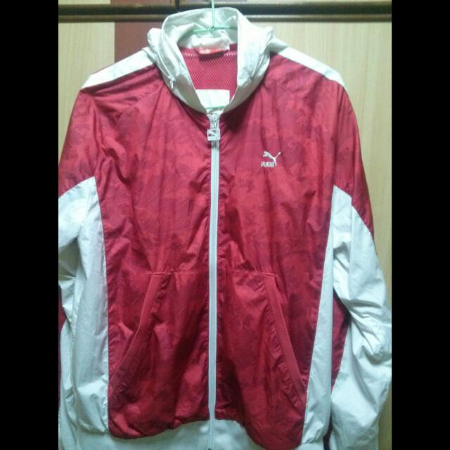 Authentic Puma Jacket (Category: Sneakers) located in Singapore. Submitted by t.shafiq (Listing ID 2106962, Image 1). Description: .