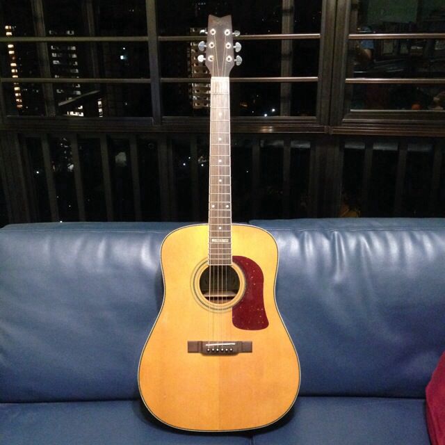 Washburn limited edition acoustic guitar sale