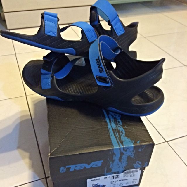 teva barracuda