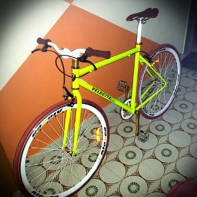 Aleoca fixie 2024