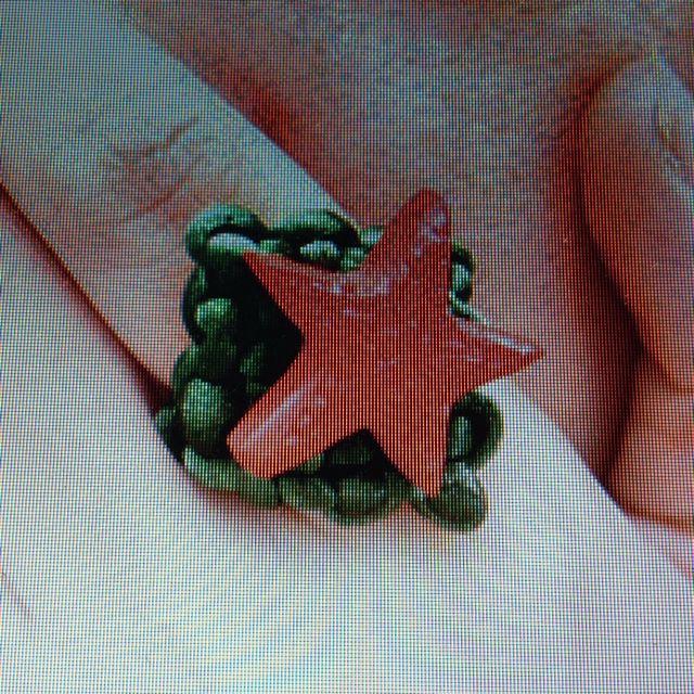 Handmade Ring (Category: Brooches) located in Singapore. Submitted by nts (Listing ID 3011679, Image 2). Description: In stock Ring Circumference 6cm Handmade China Knot Ring With Engraved Lacquerware Star. No Nego. No Trade. Price includes postage in S'pore Interested Parties do PM me 😊.