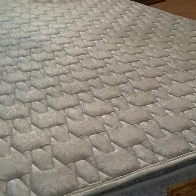 Seahorse Pillow Top Pocket Spring Mattress Furniture Home