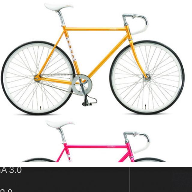 Fuji feather 2010 discount