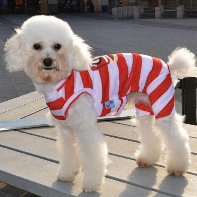 Paul Frank Inspired Jumpsuit For Dogs Dog Clothes Pet Supplies
