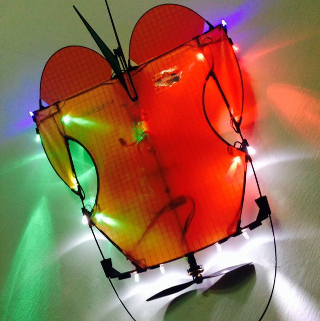 Remote Control Kite, Hobbies & Toys, Toys & Games on Carousell