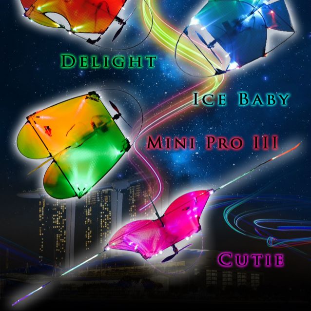 Remote Control Kite, Hobbies & Toys, Toys & Games on Carousell