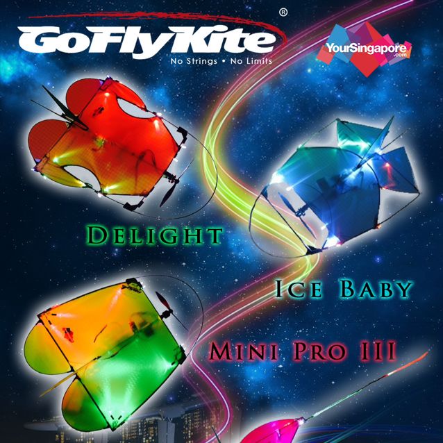 Remote Control Kite, Hobbies & Toys, Toys & Games on Carousell