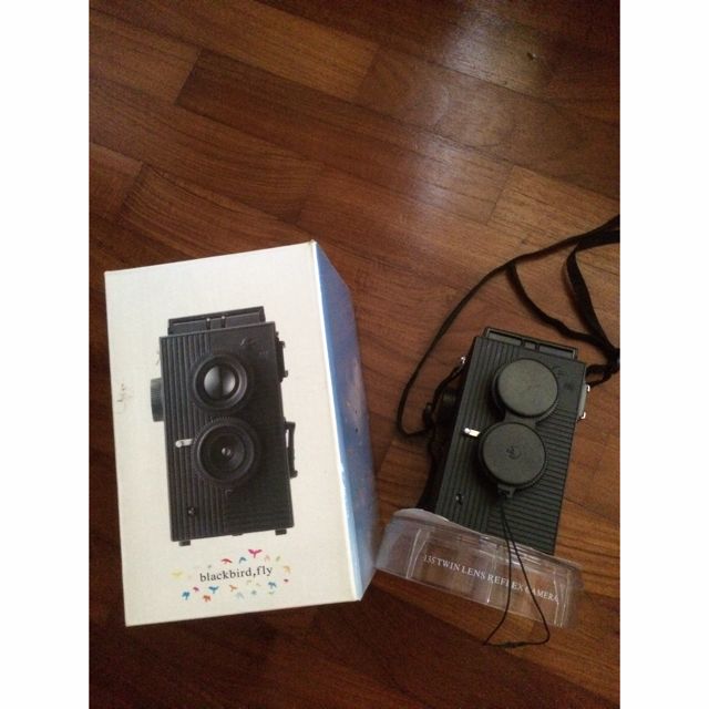 blackbird fly film camera