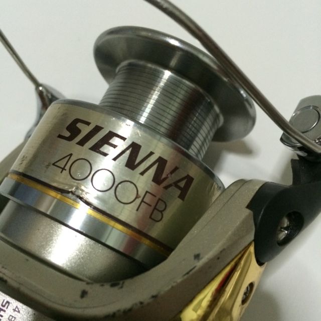 Shimano Sienna 4000FB Spinning Reel, Sports Equipment, Fishing on Carousell