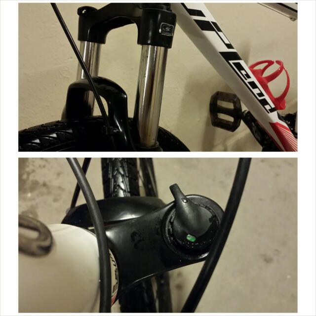 Upland leader 300 29er clearance