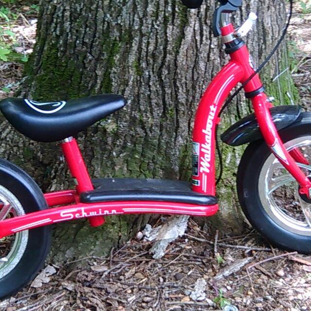 Schwinn walkabout top balance bike