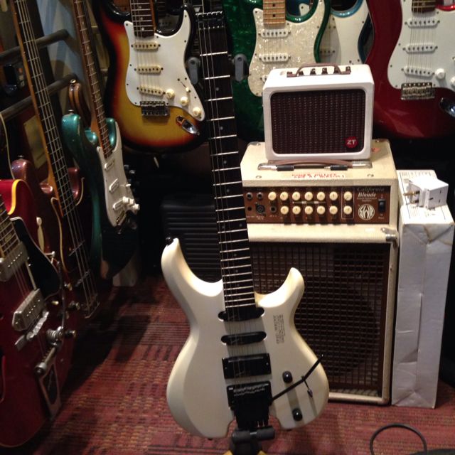 TED.STICK steinberger License ヘッドレス ヘッドレスギター