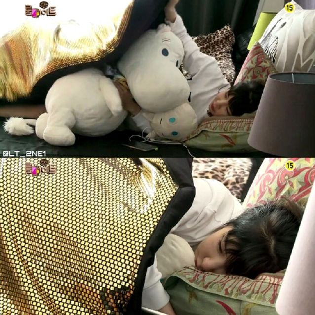 Looking For Park Bom s Poong Poong Moomin 1M Plushie Hobbies