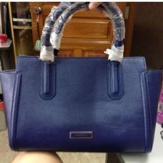 Brand New Charles and Keith Bag BNWT