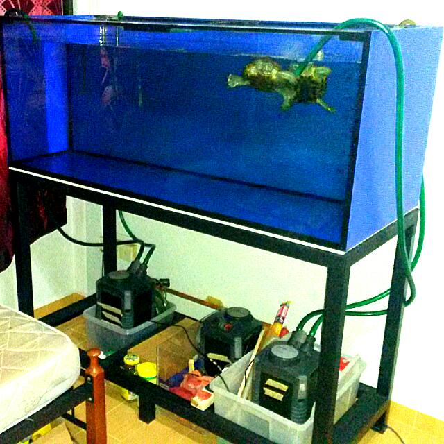 5ft-x-2ft-x-2ft-bare-fish-tank-with-metal-stand-pet-supplies-homes